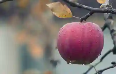 애플워치 SE 2세대 지금 사도 될까? SE3 루머 보고 판단
