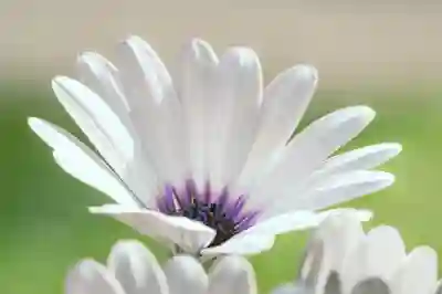 갤럭시채팅+ 문자 1표시 메세지 수신 읽음 확인 사용조건 및 채팅플러스 활용법