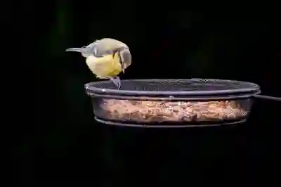 팰리세이드 하이브리드 시승기 엠바고 해제? 영상 보고 내린 결론