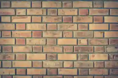 삼성 외장 하드 t5 t7 ssd 추천 이유와 비교