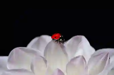 인터넷 100메가 500메가 1기가 요금제 속도 차이 체감(게임 롤 배그 와이파이 공유기 넷플릭스)