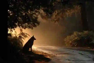 얇아도 너무 얇다! 오포 Find N5 발열,배터리 감당 어쩌려고..