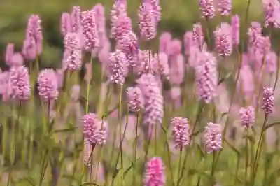 추억의 lg 듀얼폰 추억의 엘지 v50 듀얼스크린 지금보면 아쉬운점은?