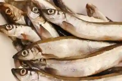 실무 중심 풀스택 부트캠프 GSITM 추천이유(비전공자, 비수도권 OK)