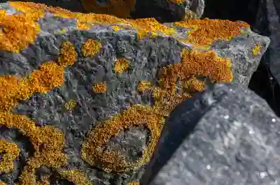 구독 관리로 유튜브 프리미엄 비용 절감하는 꿀팁 알아보자