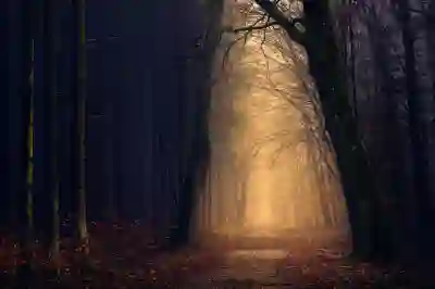 벽콘센트와 스위치 종류를 쉽게 구분하는 꿀팁