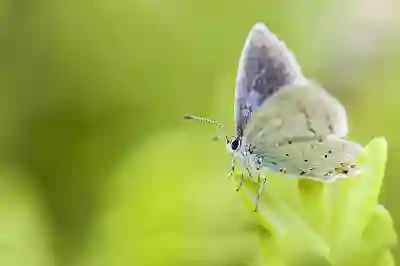 아이폰X 시리즈 카메라 성능 비교해보자