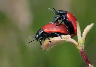 에어팟프로로 배우는 블루투스 이어폰 연결 꿀팁
