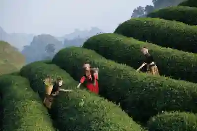 벨킨 썬더볼트4 멀티허브로 맥북 활용하는 꿀팁