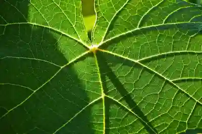 갤럭시 탭 S9 FE 에코시스템 활용법 알아보자