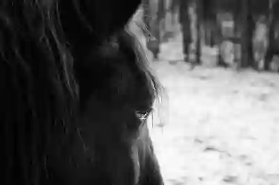 에어팟4 사전예약 출시일 기대되는 4가지 이유 알아보자