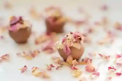 유튜브 프리미엄 대체 서비스 알아보자