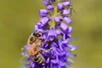 가벼운 샤크 무선청소기 에보 파워 시스템 NEO 사용법 알아보자