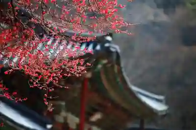 넷플릭스 요금제 변화에 대응하는 방법 살펴보기