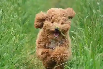 구글 재팬 바로가기 주소 알아보자