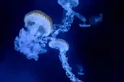 삼성 갤럭시북4 출시일과 가격 알아보자