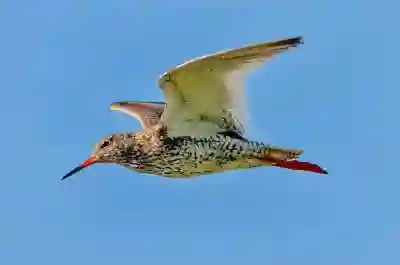 원신 4.0 업데이트 캐릭터 소개와 KT콘텐츠페이로 구글플레이스토어 7% 할인받는 방법 알아보자