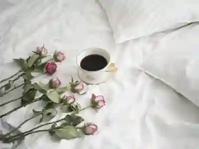 유튜브 프리미엄 우회 결제보다 공유 플랫폼이 더 현실적인 이유 알아보자