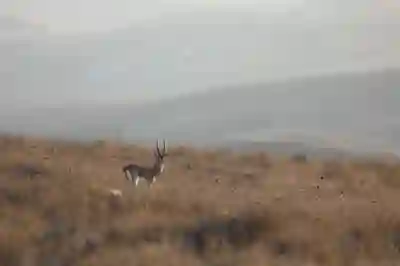 카카오뱅크 통장사본 확인과 발급 방법 알아보자