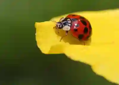 갤럭시S23 언팩 주요 특징 살펴보기