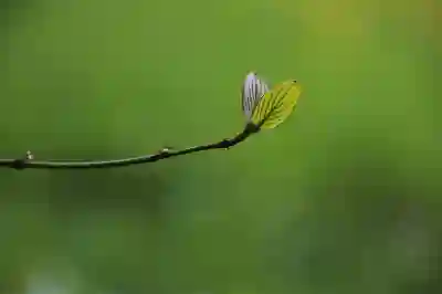 갤럭시S23 출시일과 색상 및 가격정보 알아보자