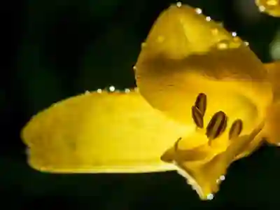 엑셀로 주식정보 깔끔하게 정리하는 꿀팁