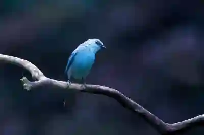 챗gpt4 무료 사용법 알아보자