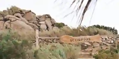 별자리 성격을 이해하는 4가지 방법