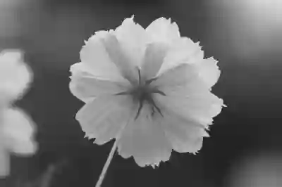 물병자리와의 인간관계에서 긍정적인 변화를 이끌어내는 5가지 방법