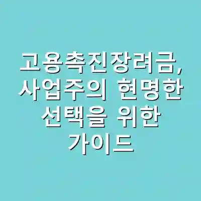 고용촉진장려금, 사업주의 현명한 선택을 위한 가이드