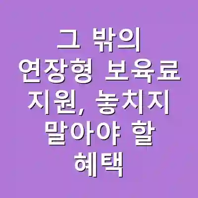 그 밖의 연장형 보육료 지원, 놓치지 말아야 할 혜택