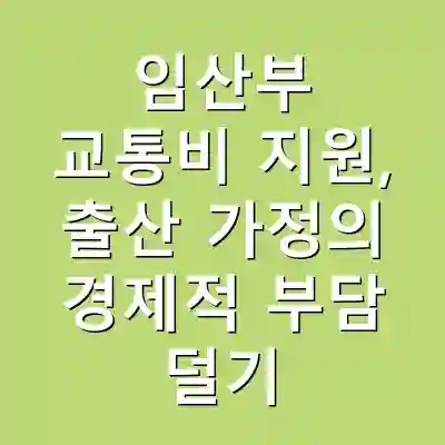 임산부 교통비 지원, 출산 가정의 경제적 부담 덜기