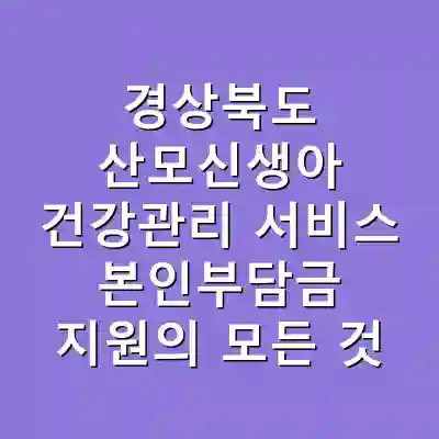 경상북도 산모신생아 건강관리 서비스 본인부담금 지원의 모든 것