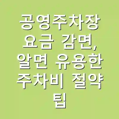 공영주차장 요금 감면, 알면 유용한 주차비 절약 팁